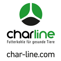 CharLine BigBag groß 90x90cm NEU grün